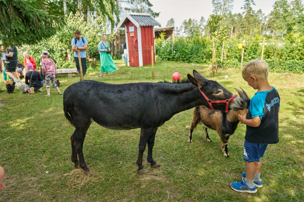 Jassu_2026_07_25_26 Avatud talud_066