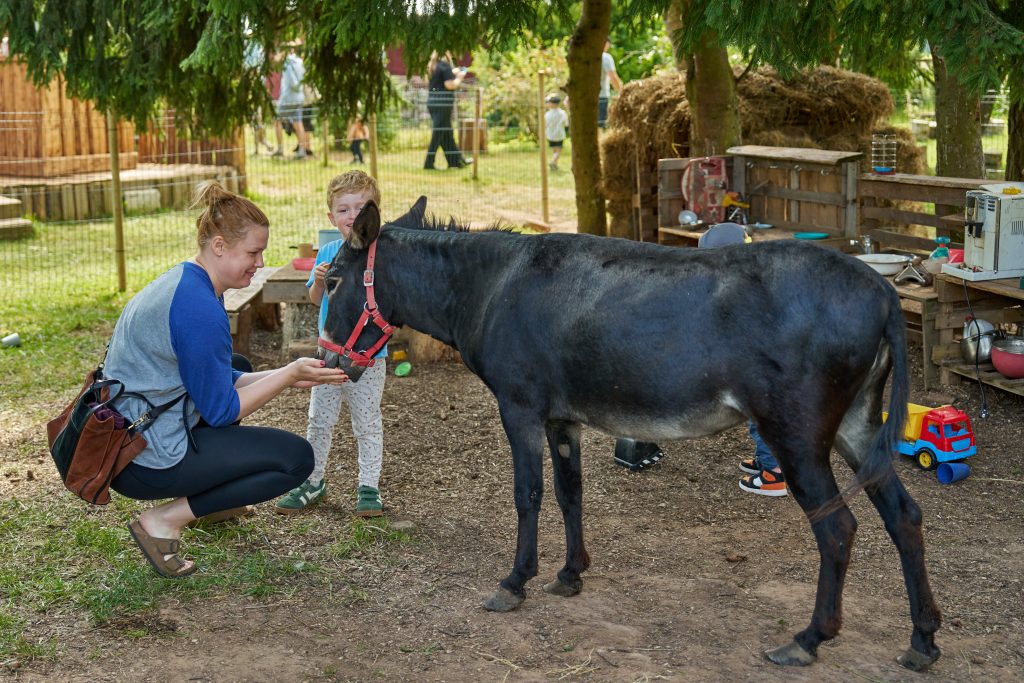 Jassu_2026_07_25_26 Avatud talud_069