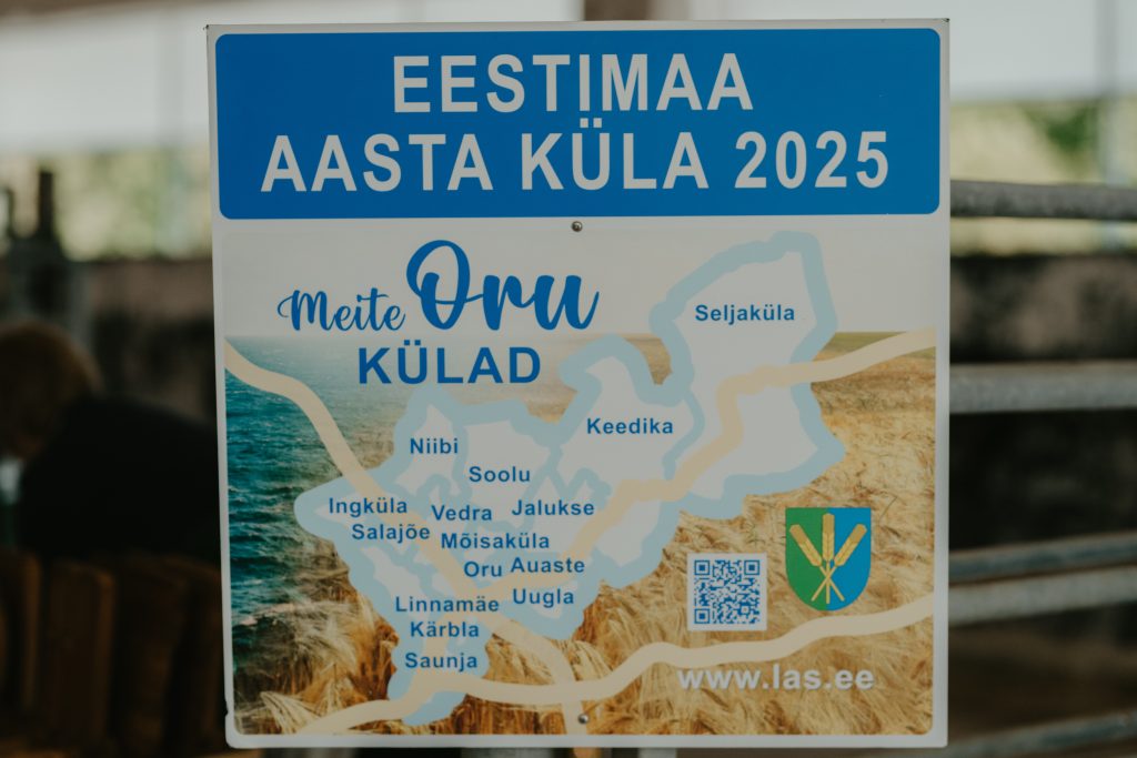 laurikainen.liina@gmail.com-41